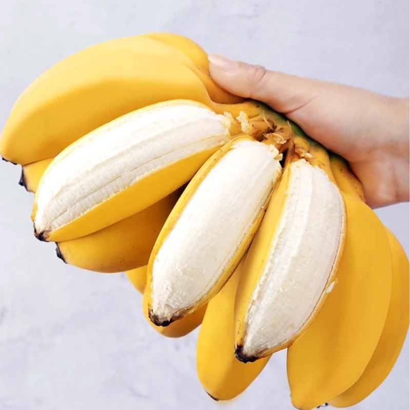 正宗苹果蕉孕妇当季现摘自然熟香蕉糯粉蕉整箱广西水果小米蕉新鲜