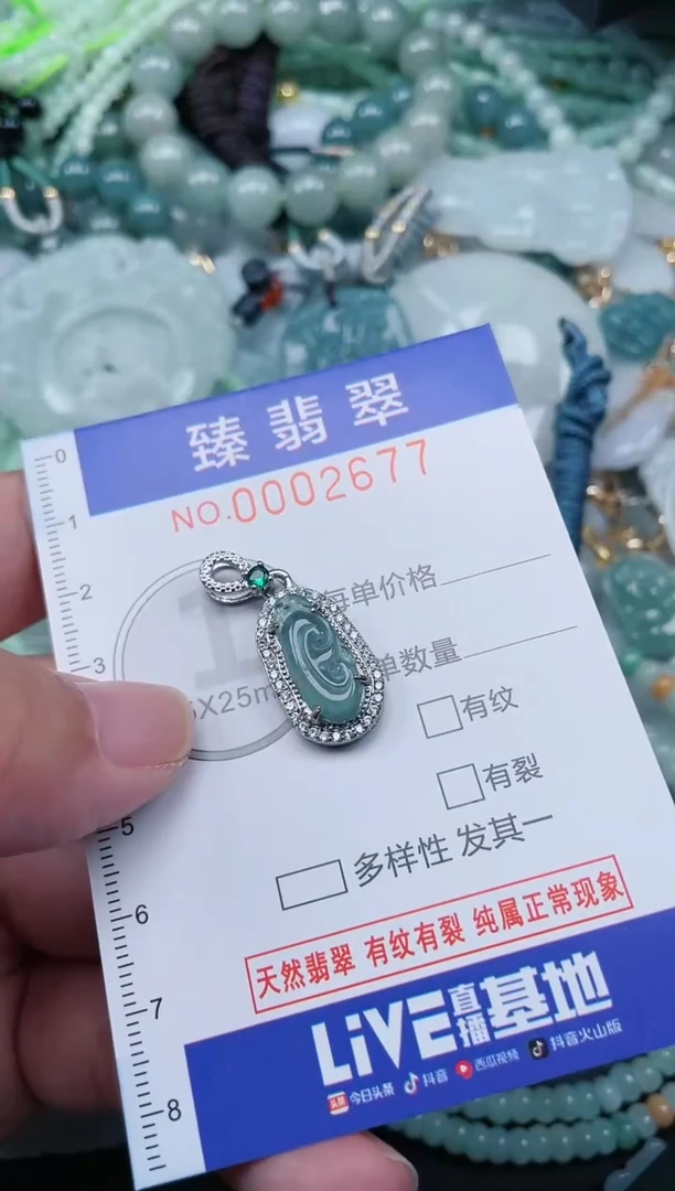 翡翠未镶嵌颈饰.0002677