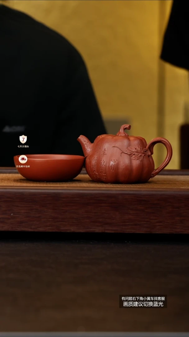 茶壶紫砂蒋工堂原矿龙脊朱砂幽兰南瓜