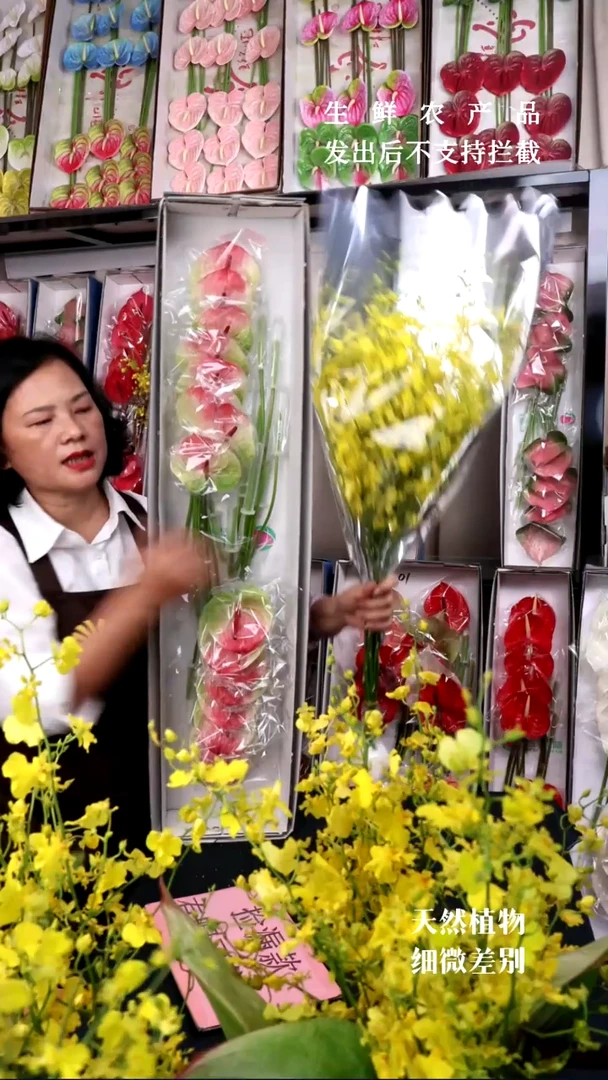 赛菲拉16支小掌+B级跳舞兰1束，微瑕无售后