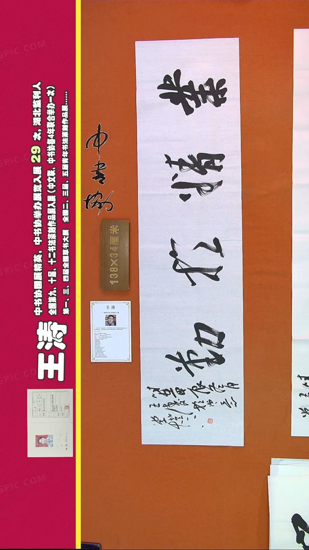 【闪购商品】书法273A王涛书法作品