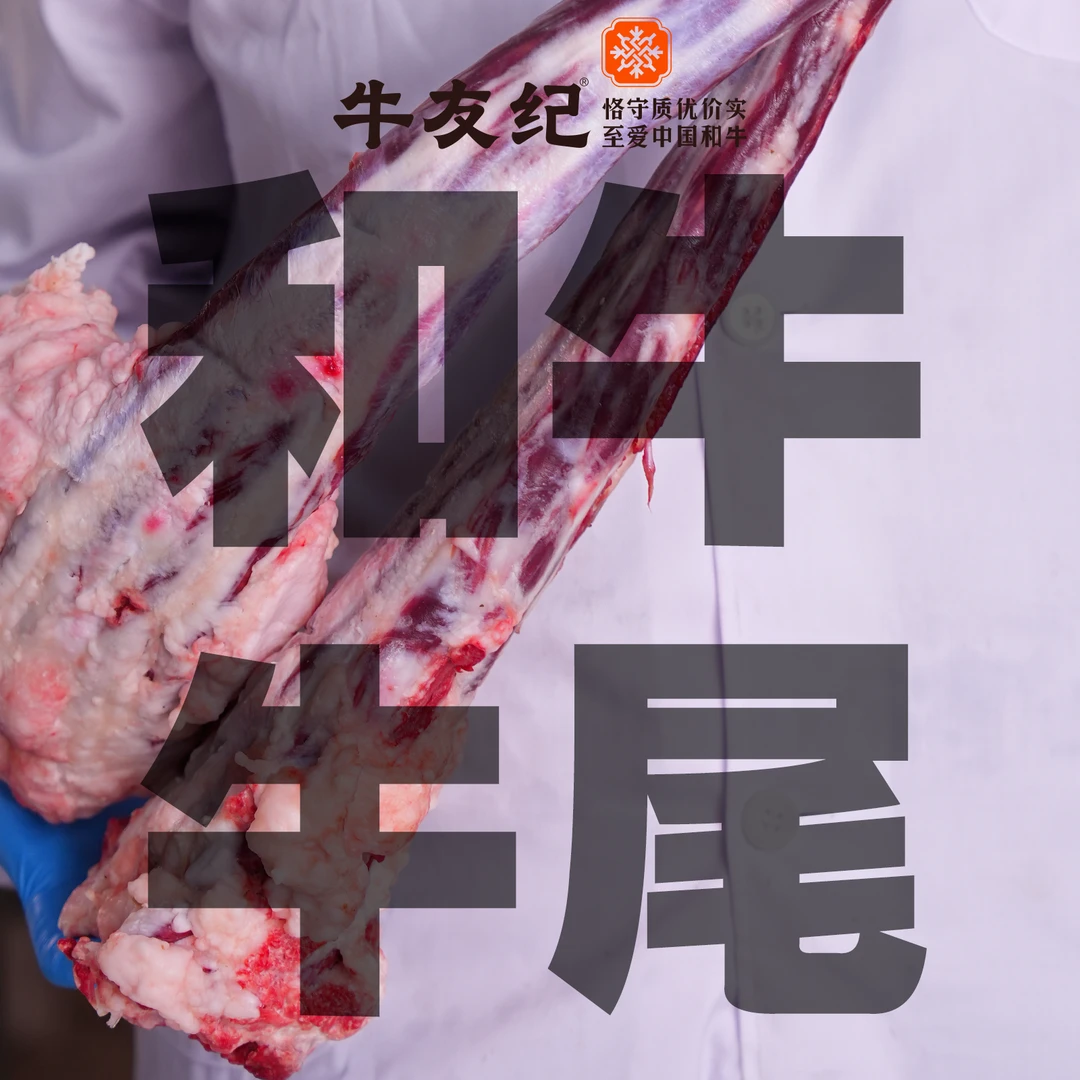 【福利和牛牛尾】国产谷饲800天和牛牛尾奶香