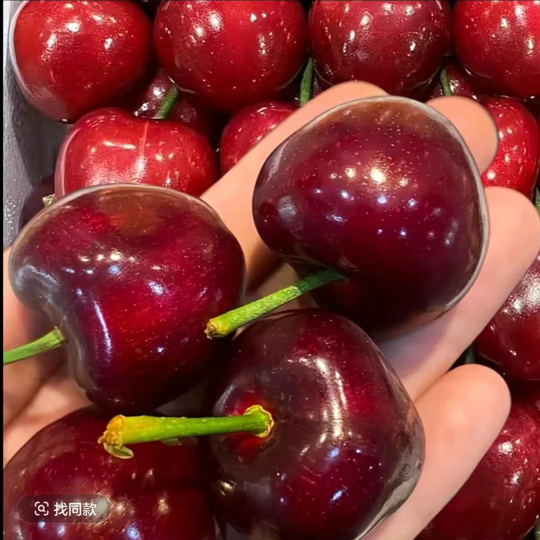 【恒福闪送】大连美早樱桃4J/5J/6J/8J [精美红色礼盒】2.4斤装【净重1.8斤】新鲜水果现货直发美早辽宁省