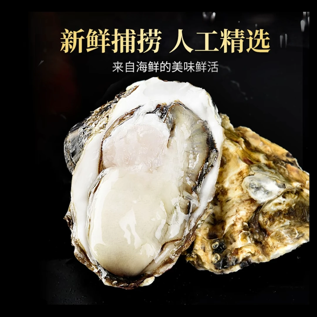 5+乳山生蚝6只 2.5斤起（1个5两多 ）