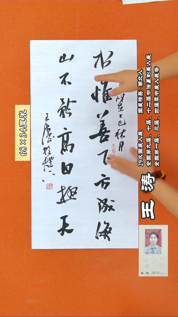 书法78R王涛书法作品