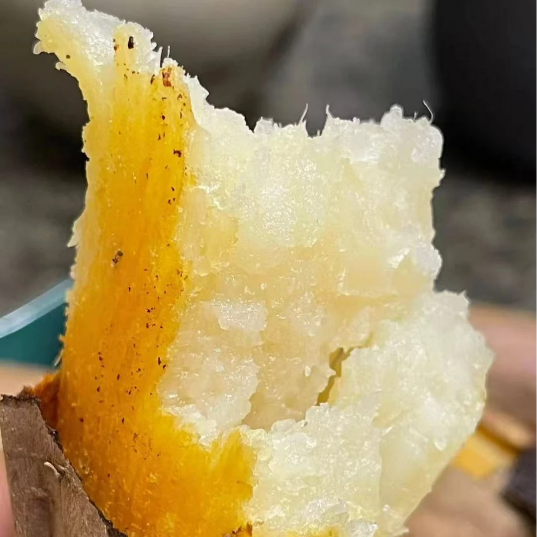 哈蜜白薯新鲜好吃健康甜糯香甜地瓜红薯冰糖心