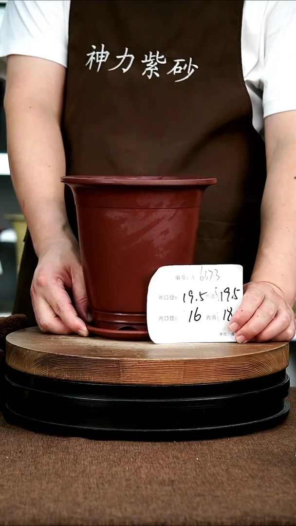 紫砂花盆花卉园艺6373+Z