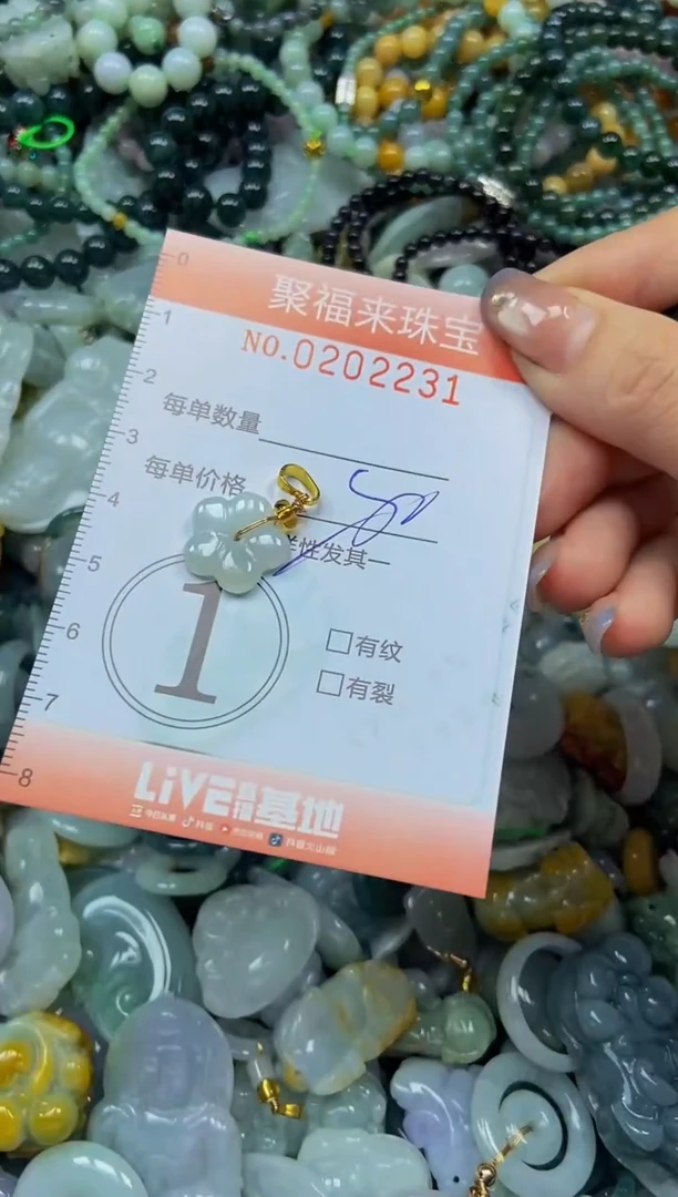 翡翠未镶嵌颈饰闪购0202231多样性发其一