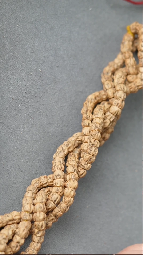 【闪购商品】柏香籽/百香籽吊坠灵蛇