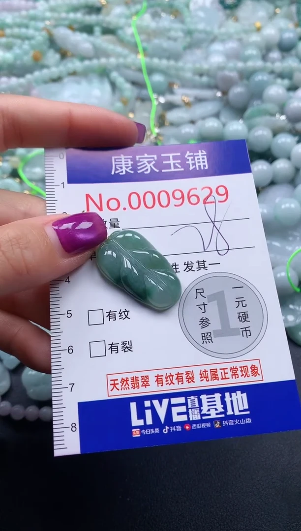 颈饰未镶嵌翡翠9629