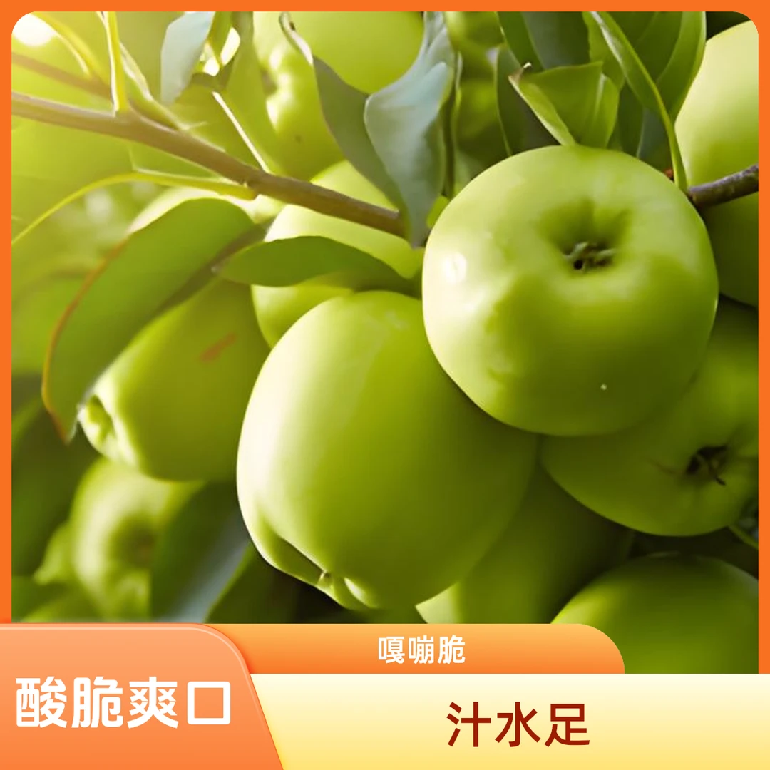 2025新鲜采摘 青苹果 酸爽可口 汁水足