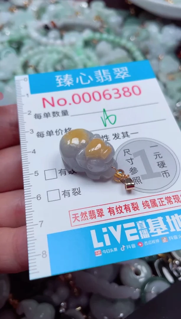颈饰未镶嵌翡翠6380