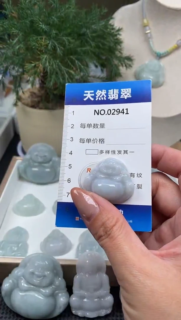 颈饰未镶嵌翡翠纯天然A货翡翠2941