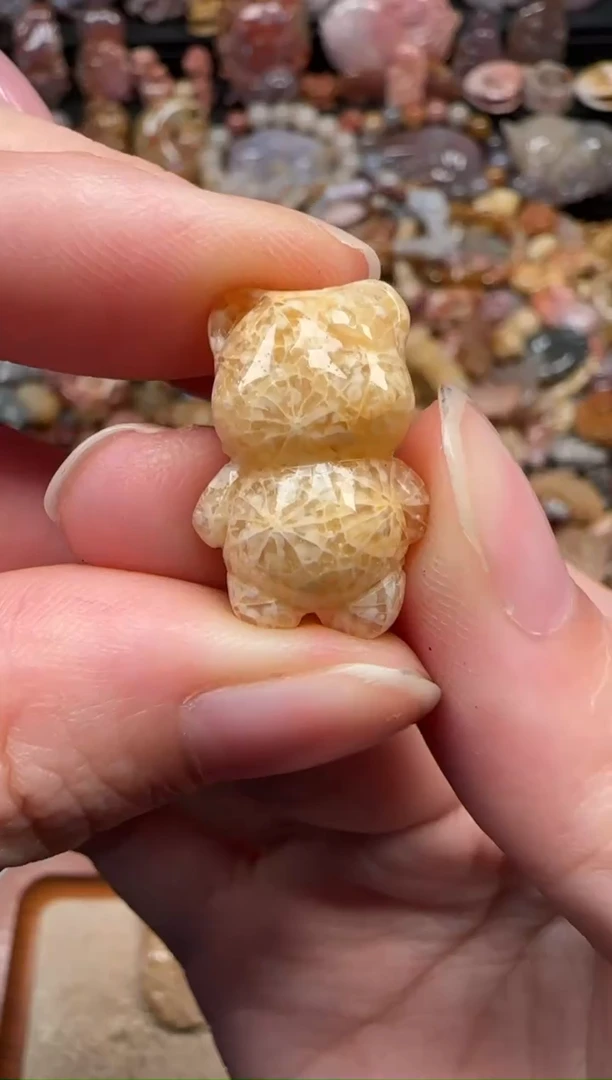 颈饰未镶嵌硅化珊瑚（珊瑚玉）652