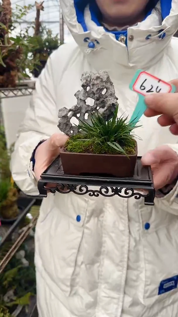 【闪购商品】624