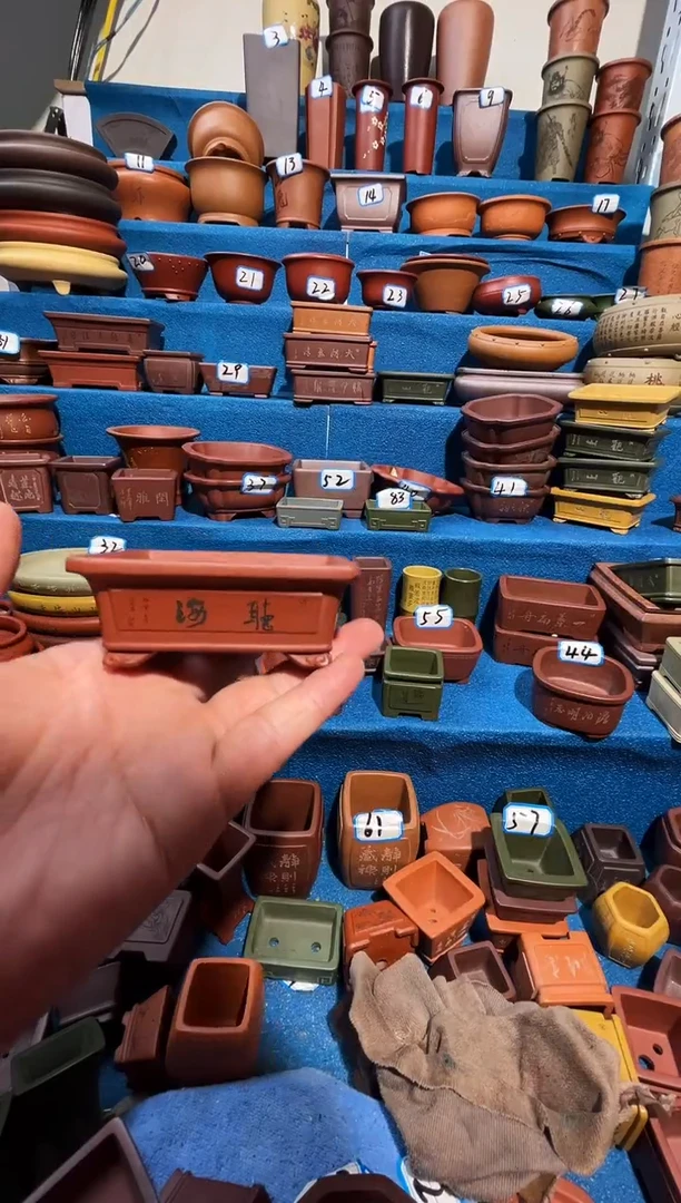 【闪购商品】紫砂紫砂花盆1