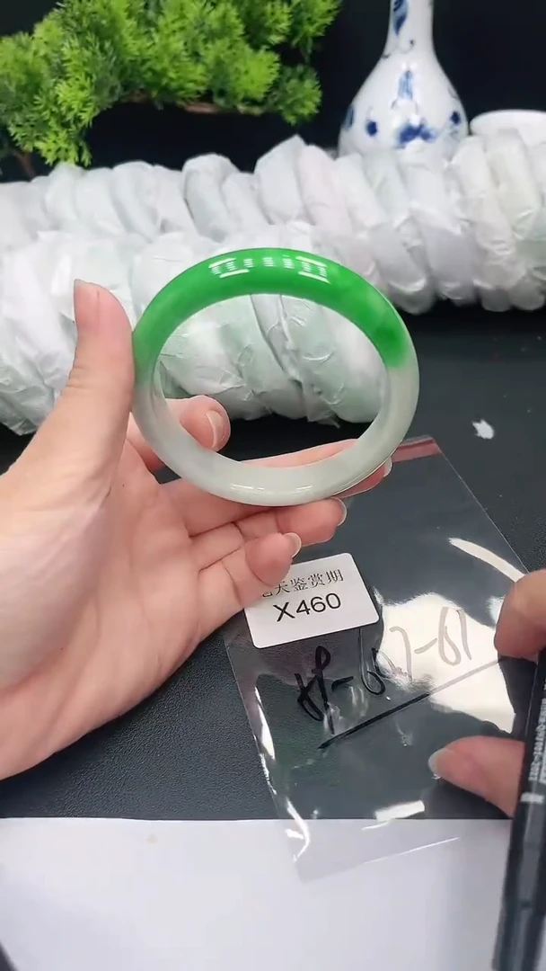 未镶嵌手镯翡翠460