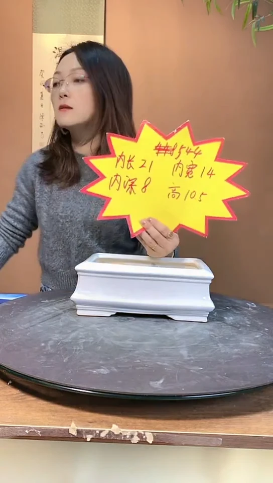 【闪购商品】陶瓷544白色