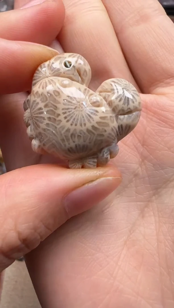 【闪购商品】硅化珊瑚（珊瑚玉）颈饰未镶嵌201