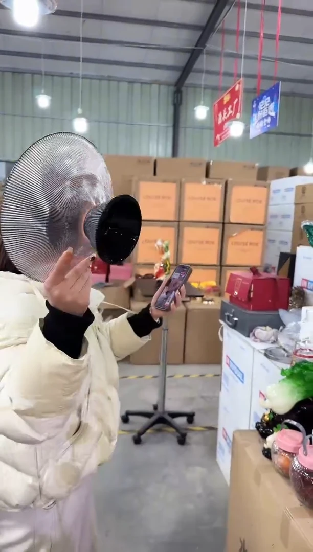 【闪购商品】藤优品花器B-早47