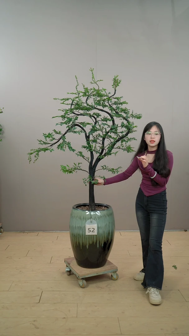 【闪购商品】52号链接