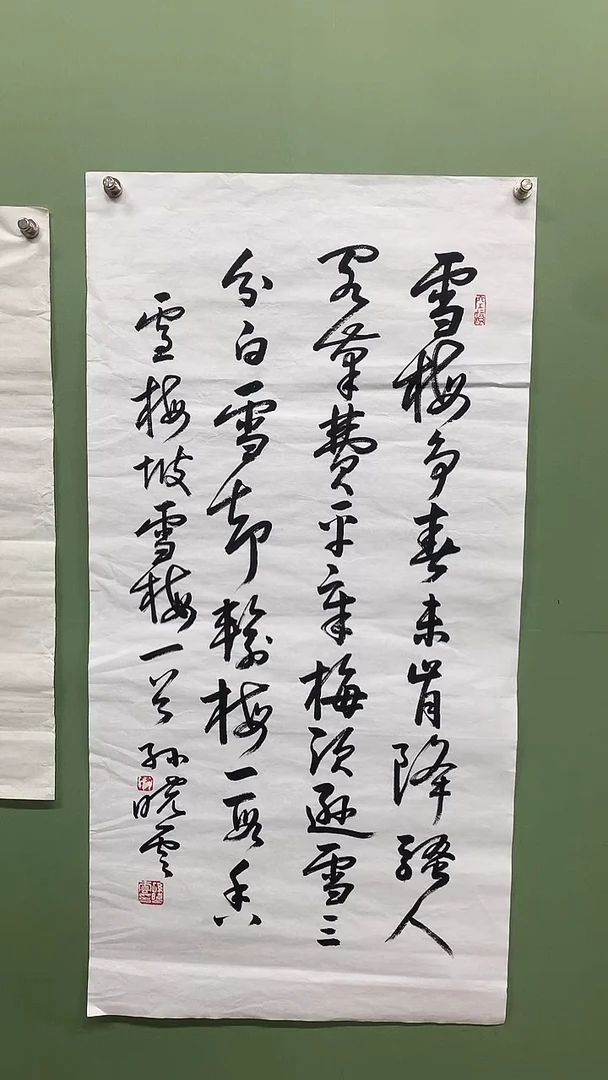 竖款精品三尺书法，雪梅