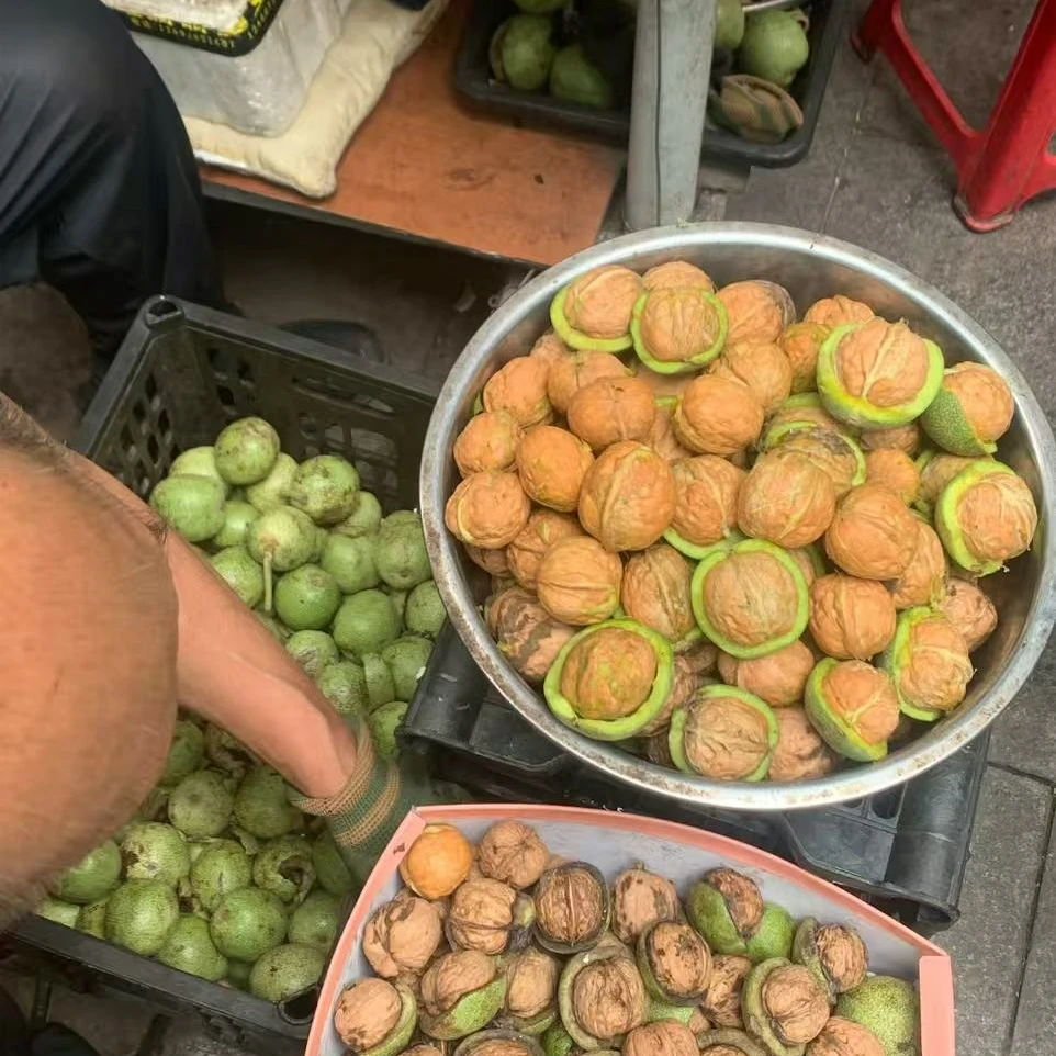 昌都青年公益助农“左贡核桃”