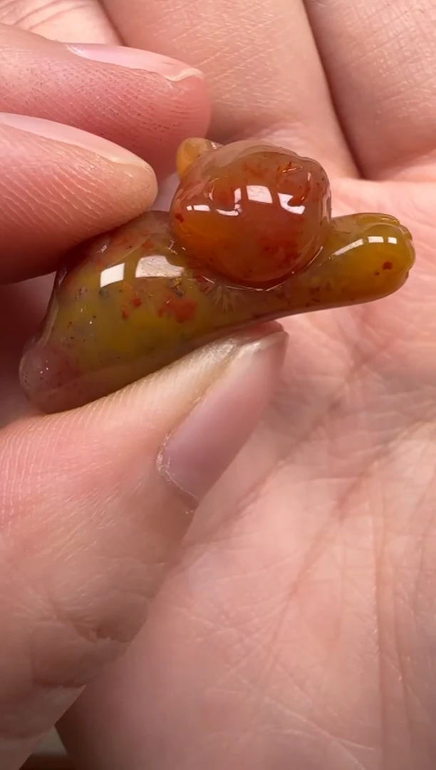 硅化珊瑚（珊瑚玉）未镶嵌颈饰125