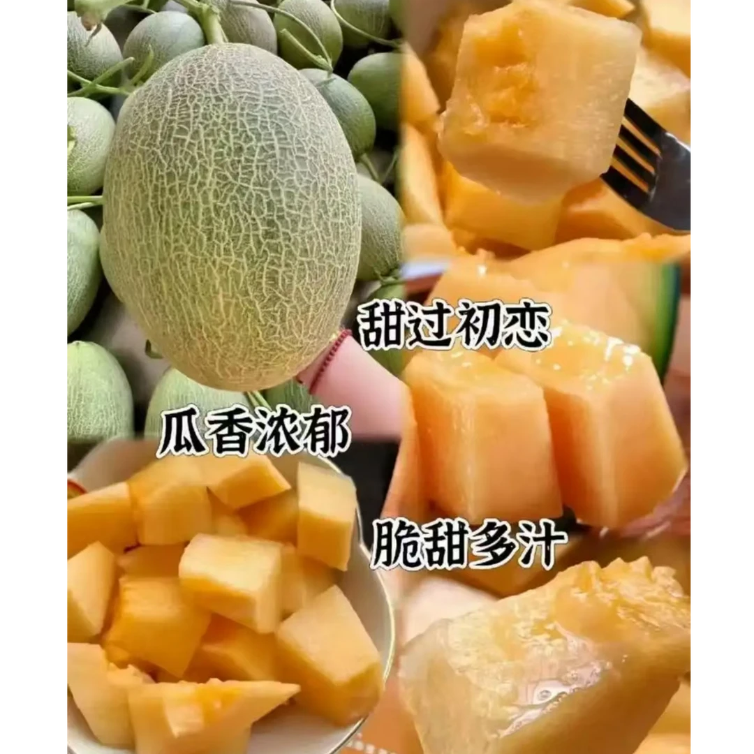 民勤蜜瓜西州密17号 当季新鲜应季水果脆甜多汁