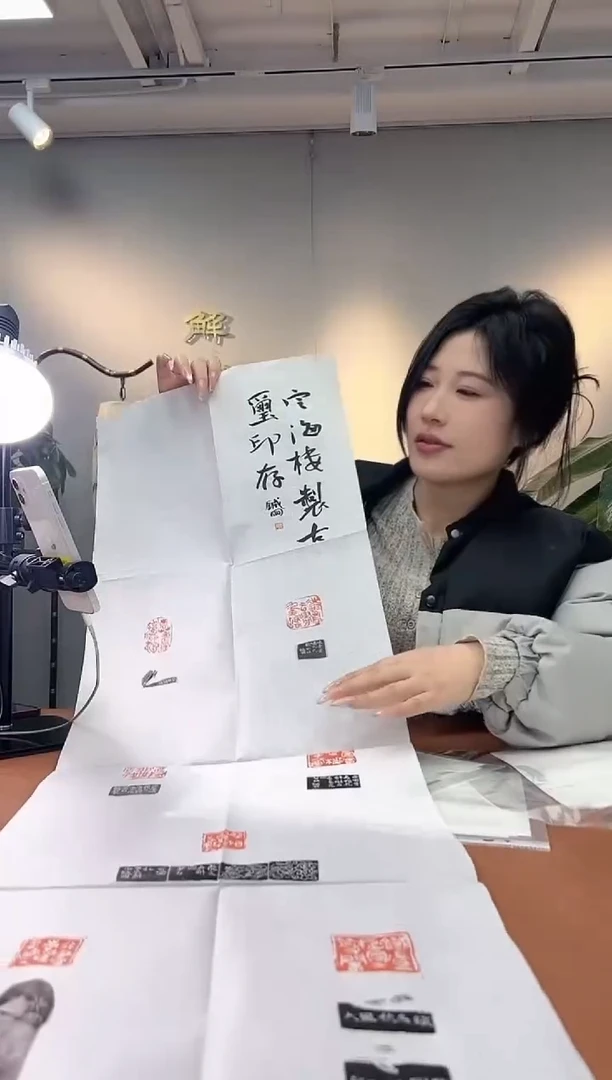 【闪购商品】拓片用纸其他印屏王针朋YP100792B题字定海楼制