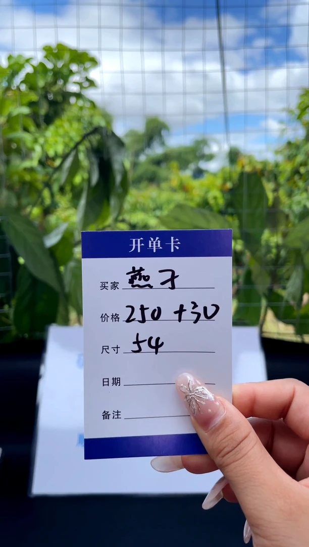 非金属无燕*手镯下单链接一单一付