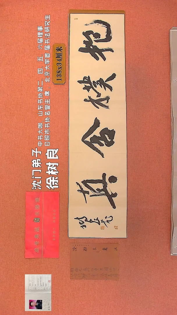 【闪购商品】书法65    徐树良老师作品