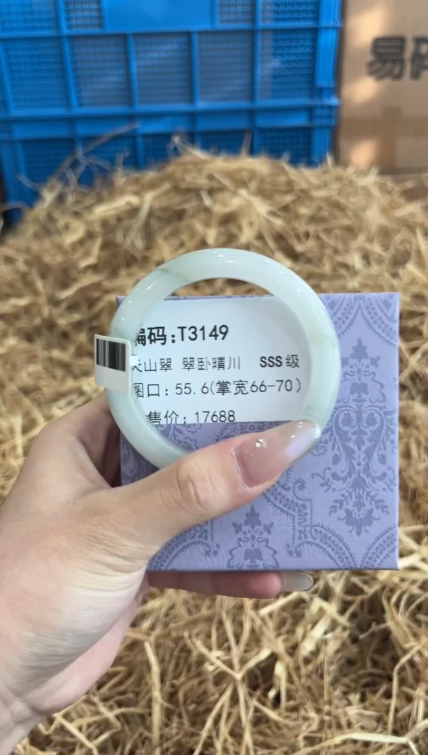 未镶嵌手镯石英质玉T3149