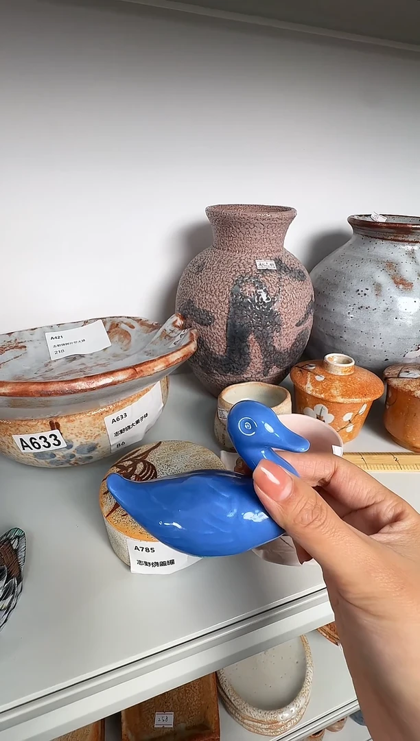 怡*蓝色鸭子