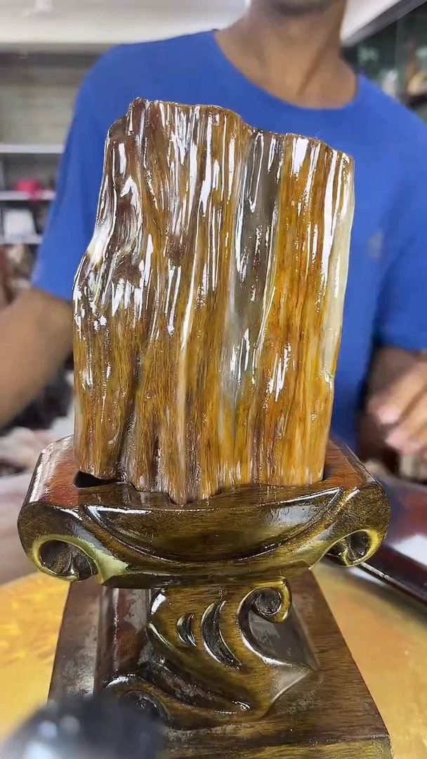 硅化玉珠宝奇石未镶嵌缅甸天然树化玉摆件