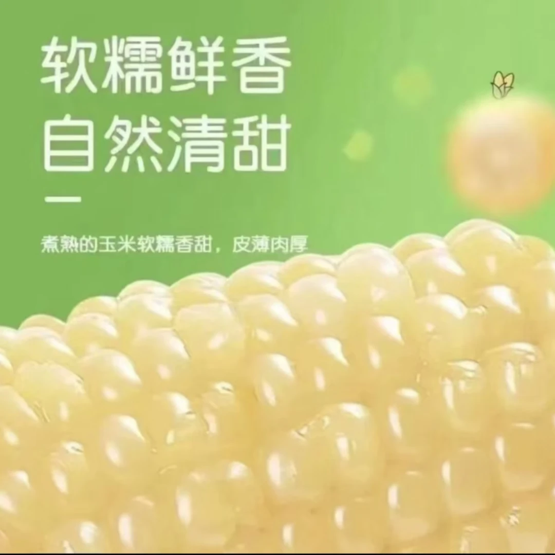 【试吃两根 混装整箱6斤】新鲜白糯玉米到手10根单根210-360g混装