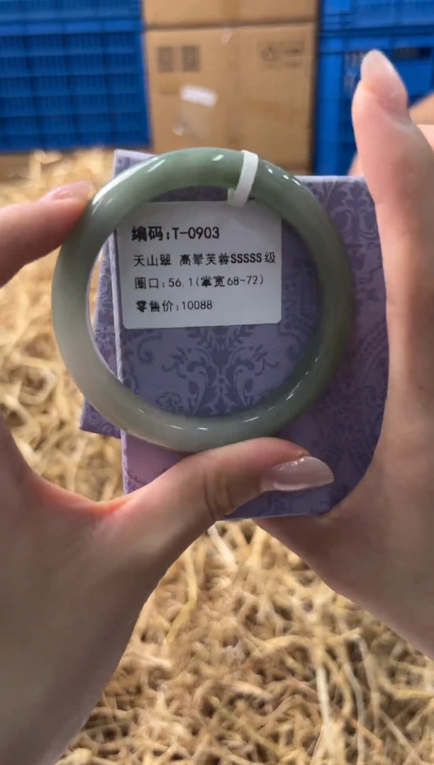 未镶嵌手镯石英质玉T0903