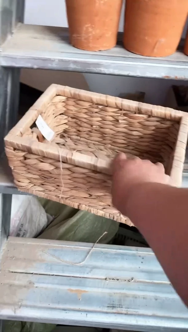 木（非红木类）235蒲草收纳