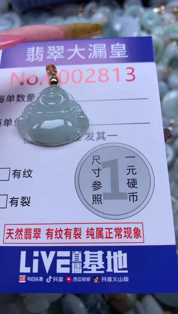 翡翠未镶嵌吊坠(不含链)2813