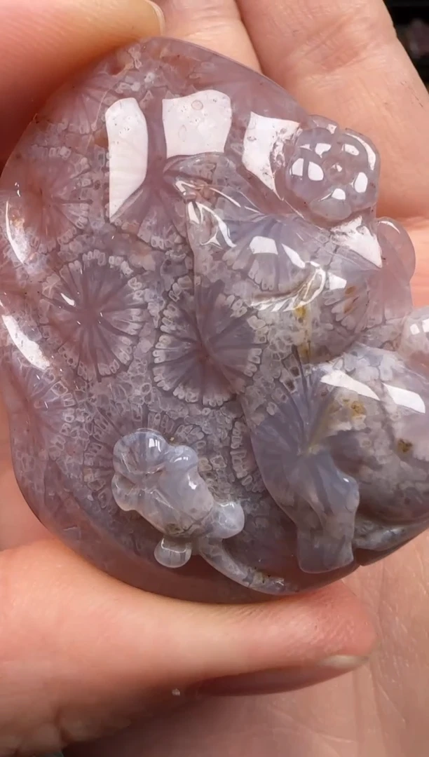 硅化珊瑚（珊瑚玉）未镶嵌颈饰843