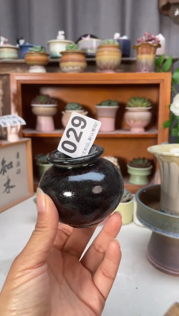 瓷片029小芳直播编号