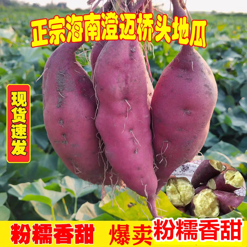 【低价】海南澄迈富硒桥头地瓜板栗红薯粉糯香甜沙地种植新鲜现挖