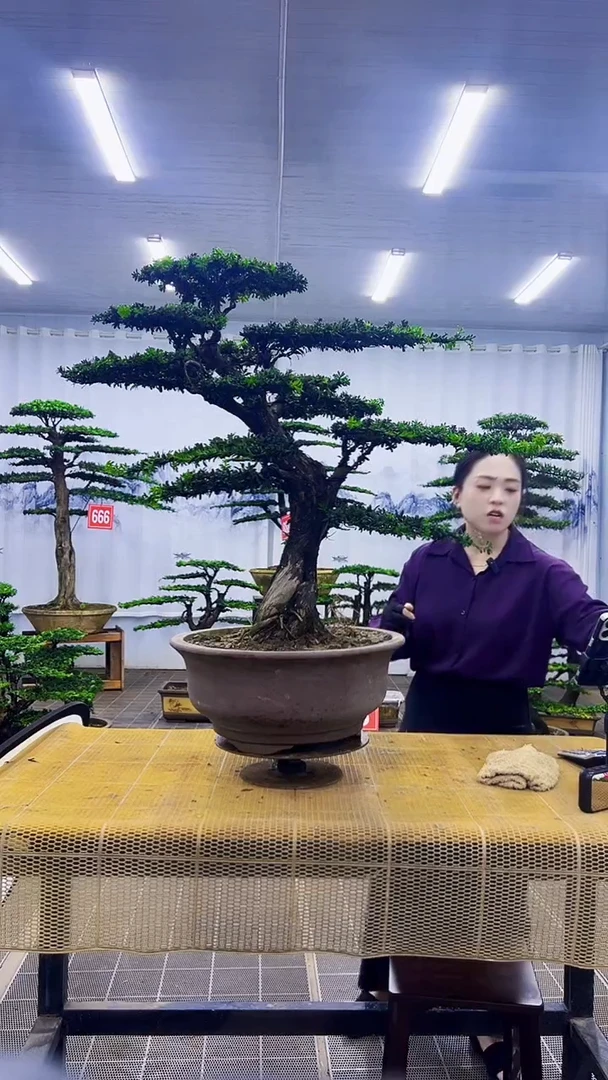用****3000000000000000000000000
