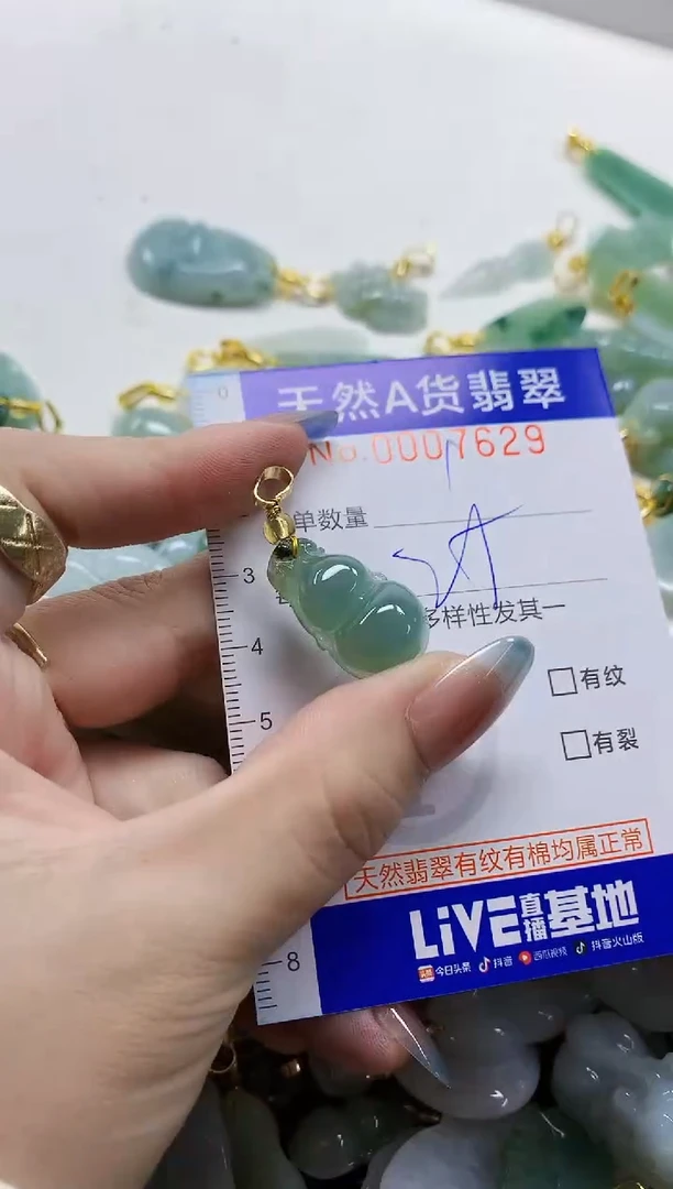 颈饰未镶嵌翡翠纯天然a货翡翠