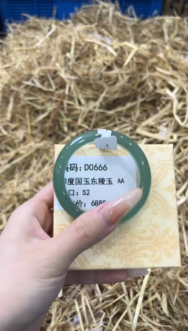 未镶嵌手镯石英质玉D0666