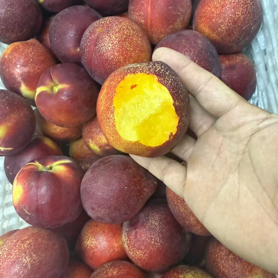 【果叔源选】山东当季鲜果麻脸油桃3斤/5斤  顺丰包邮