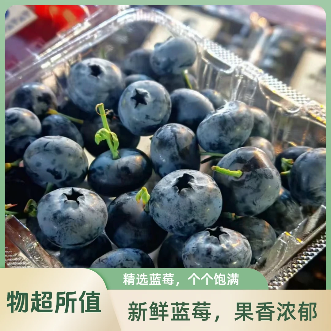爱莓庄云南山地鲜蓝莓 15+