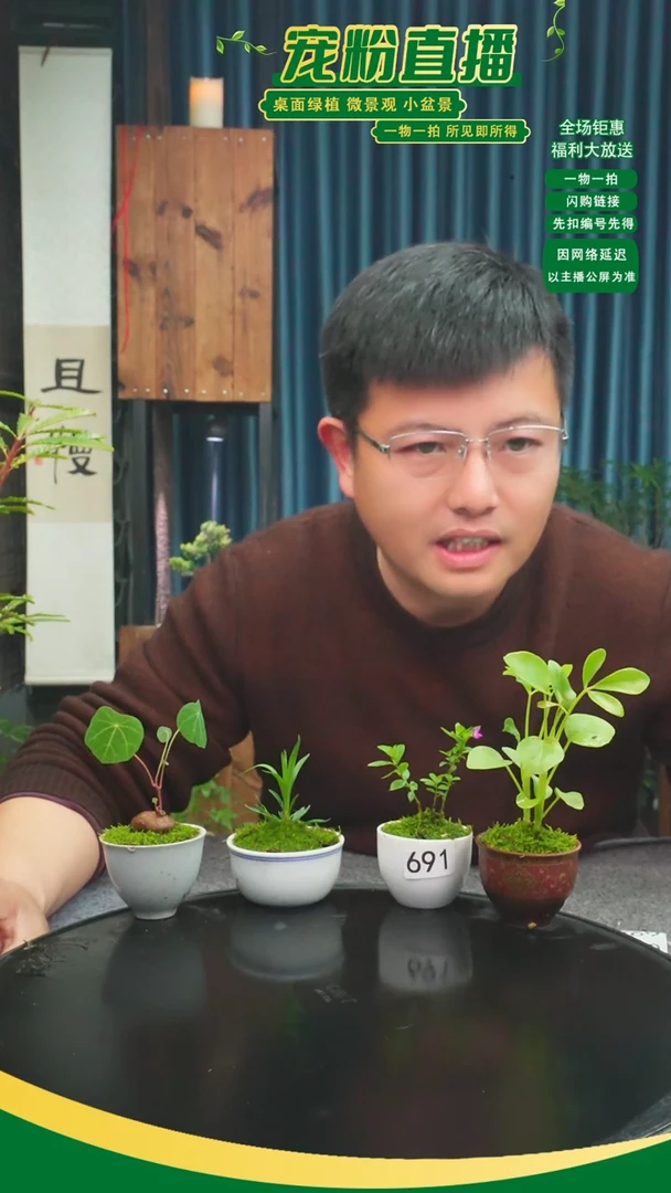 无花朵?****₀苔藓微景观691号