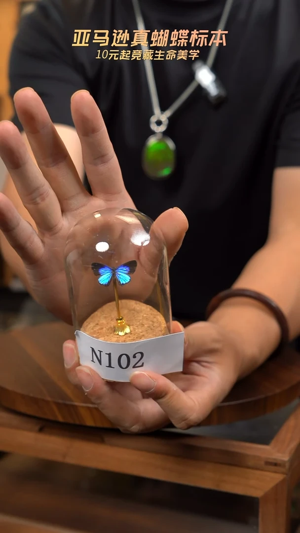 ?***?N102蝴蝶标本摆件一口价