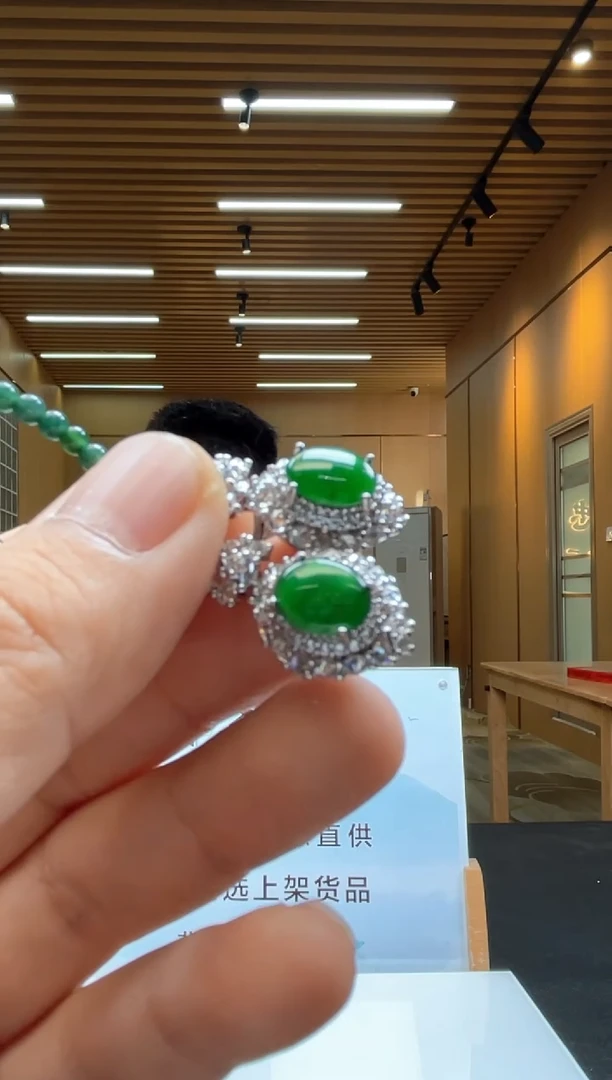 颈饰未镶嵌翡翠多样性发货（只发一件）x15